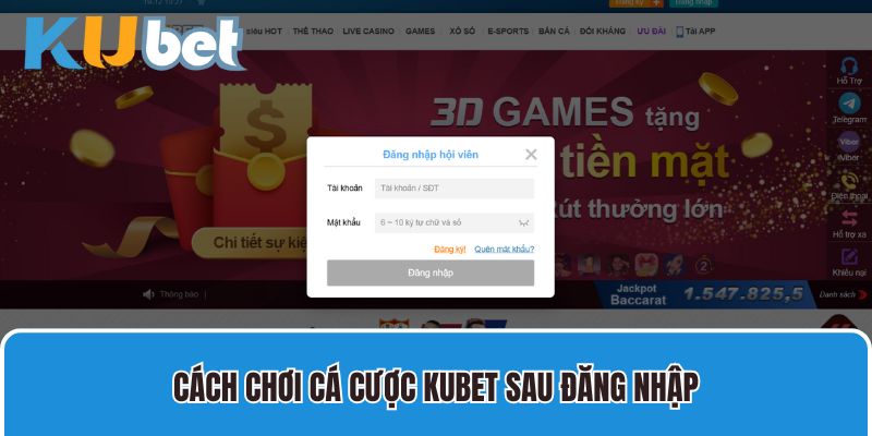 Cách chơi cá cược Kubet sau đăng nhập