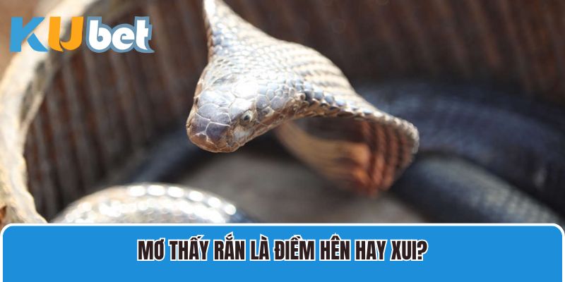 Mơ thấy rắn là điềm hên hay xui?