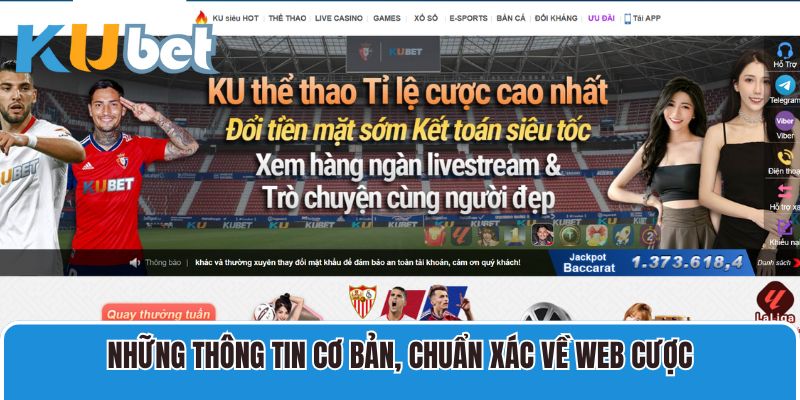 Những thông tin cơ bản, chuẩn xác về web cược mà bet thủ cần biết