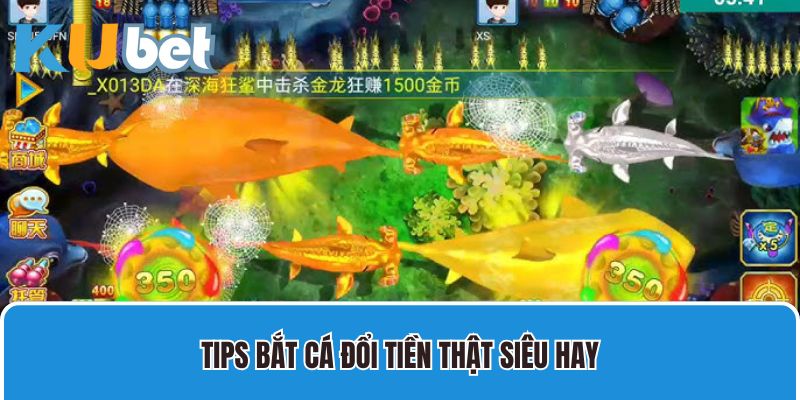 Tips bắt cá đổi tiền thật siêu hay