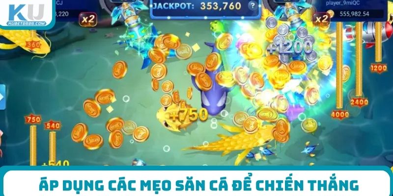 Áp dụng các mẹo săn cá để chiến thắng