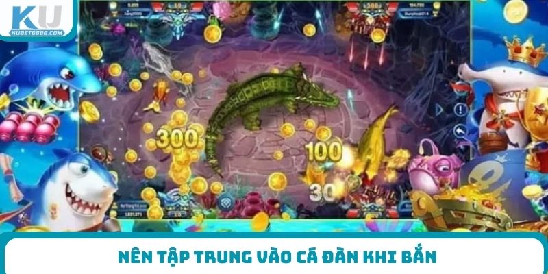Nên tập trung vào cá đàn khi bắn